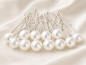 Preview: Haarnadel L0721 (1 Set/12 Stück)