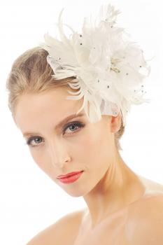 NEU Haargesteck mit Netz u. Feder 2606-232